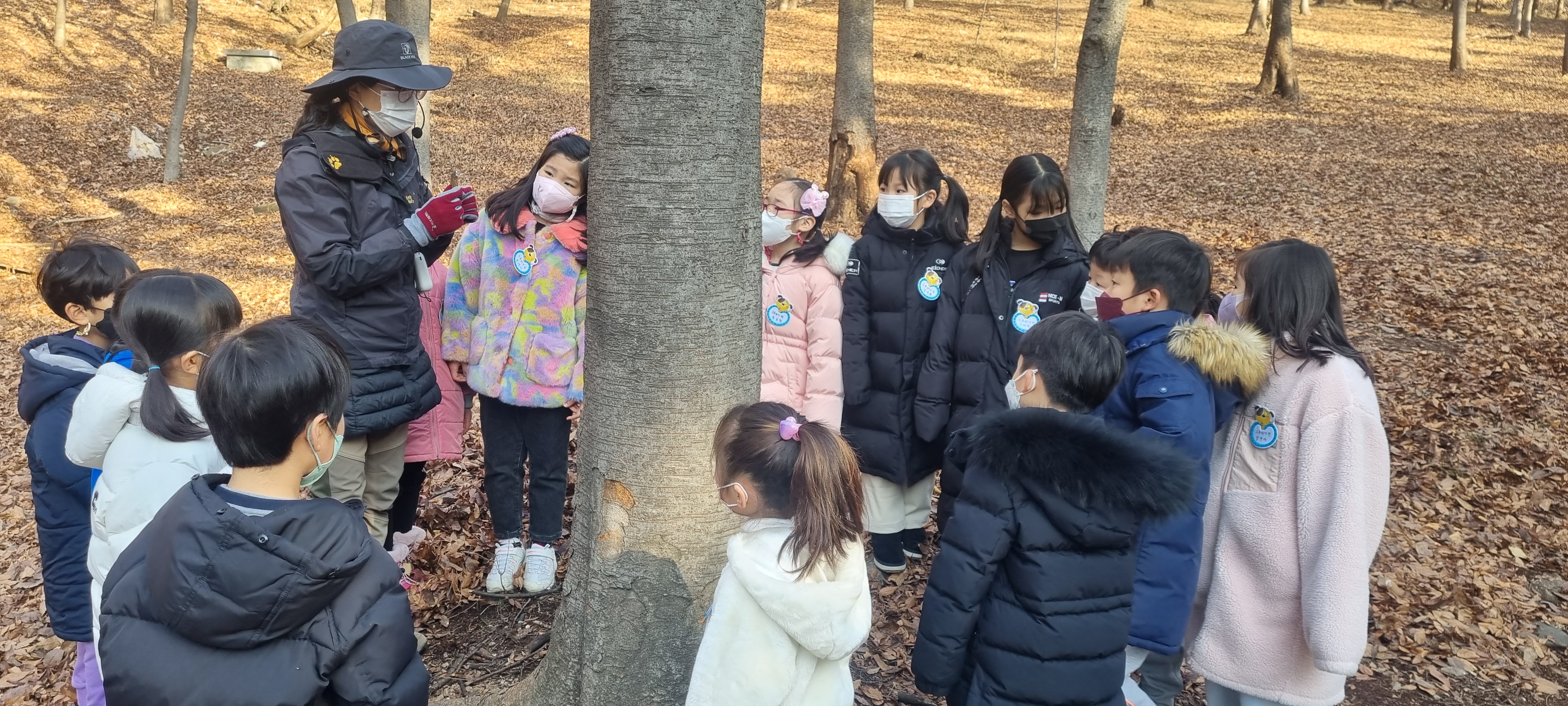 그루터기반 숲체험